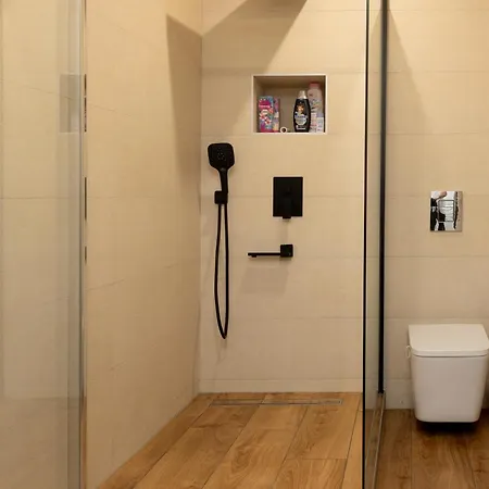 L'etoile Jacuzzi Detente & Confort 公寓 斯特拉斯堡