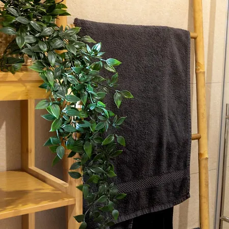 L'etoile Jacuzzi Detente & Confort 公寓