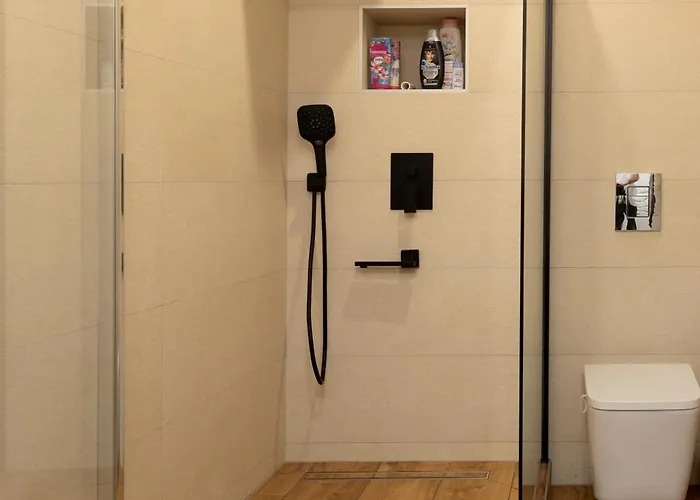 L'etoile Jacuzzi Detente & Confort 公寓 斯特拉斯堡